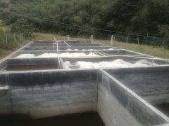 污水处理3