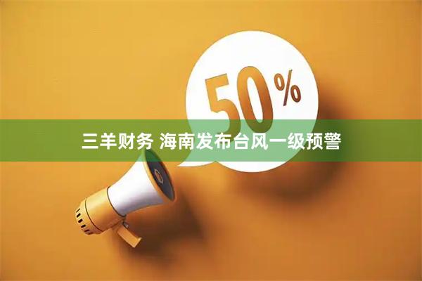 三羊财务 海南发布台风一级预警