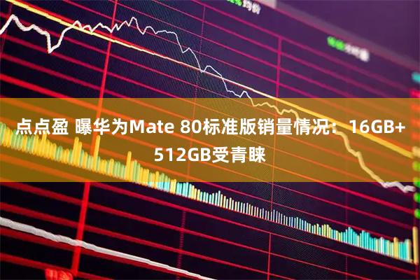 点点盈 曝华为Mate 80标准版销量情况：16GB+512GB受青睐