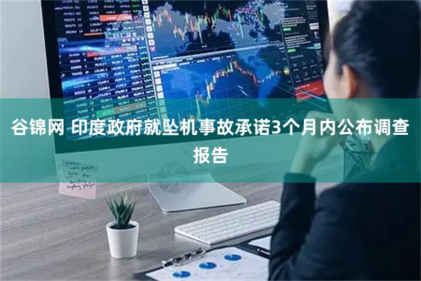 谷锦网 印度政府就坠机事故承诺3个月内公布调查报告