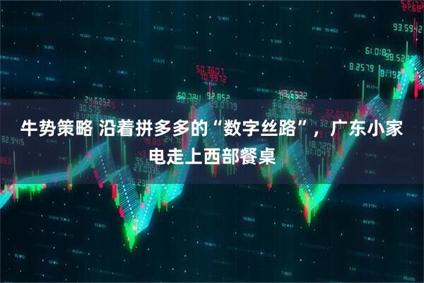 牛势策略 沿着拼多多的“数字丝路”，广东小家电走上西部餐桌